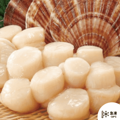 北海道刺身帶子M 500g